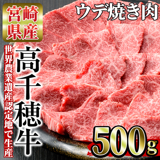 高千穂牛 ウデ焼き肉(500g)[MT001][JAみやざき 高千穂牛ミートセンター]