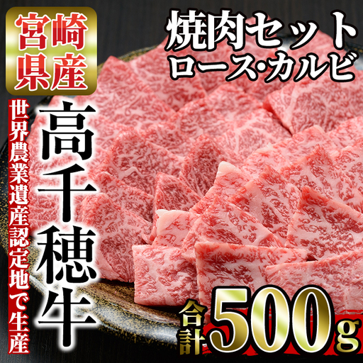 高千穂牛 焼き肉セット(ロース・カルビ各250g)[MT010][JAみやざき 高千穂牛ミートセンター]