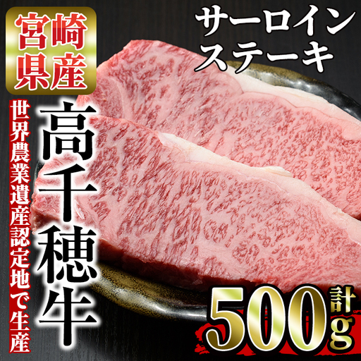 高千穂牛 サーロインステーキ(250g×2枚)[MT013][JAみやざき 高千穂牛ミートセンター]