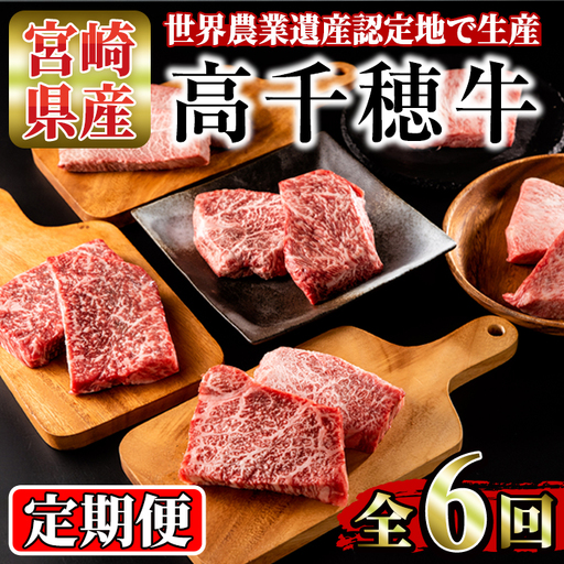 ＜定期便・6回(連続)＞高千穂牛・定期便(6ヶ月)【MT008】【JAみやざき 高千穂牛ミートセンター】