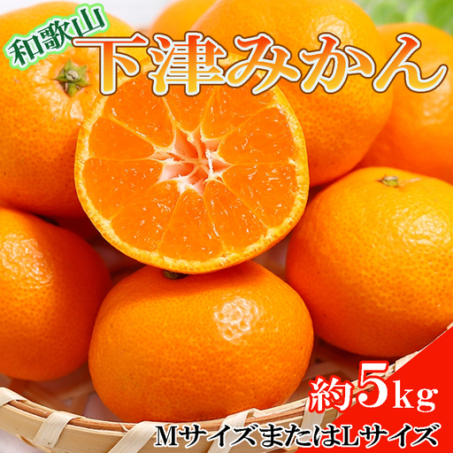 【産直・秀品】和歌山下津みかん約5kg(MサイズまたはLサイズのいずれかをお届け) ※2026年11月中旬～2027年1月中旬頃に順次発送【tec871A】