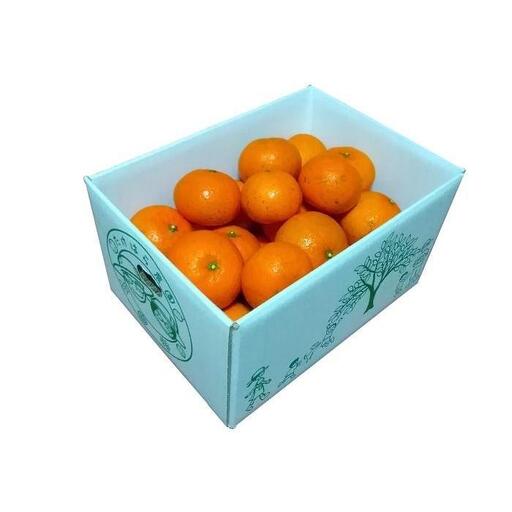 【2027年発送分 先行受付】たんかん ご家庭用バラ詰め3kg【たけはら農園】