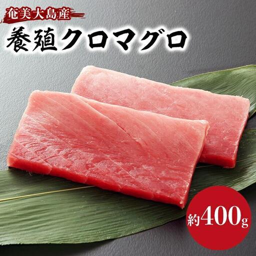 奄美大島産養殖クロマグロ 2柵セット 400g以上 中トロ 赤身 冷凍 | 黒マグロ