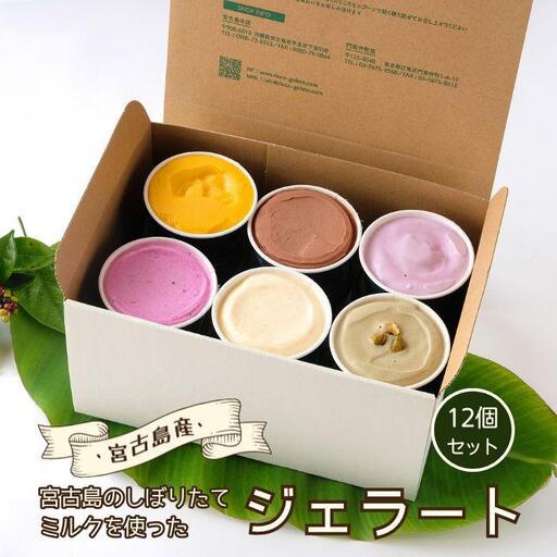 [宮古島] 素材が輝く RICCOジェラート12個セット | トロピカル 夏ギフト お中元 夏 クリスマス アイス 詰め合わせ セット ジェラート おやつ お菓子 スイーツ 母の日（C101）