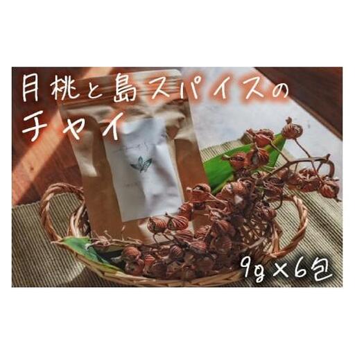 宮古島 ゆさらび　月桃と島スパイスのチャイ
