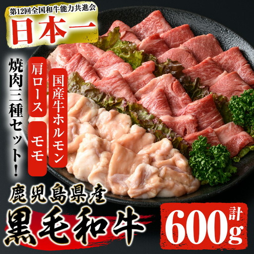 鹿児島県産 黒毛和牛 焼き肉セット (ロース モモ 国産牛ホルモン 各200g 計600g) [ナンチク]A6-v01