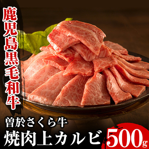 焼肉 曽於さくら牛焼肉ギフト 黒毛和牛 焼肉[福永産業]A16-v01