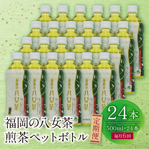  八女茶 煎茶ペットボトル(24本)定期便(毎月×6回) 煎茶