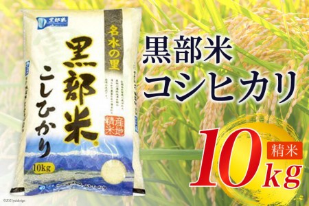【令和8年産】 黒部米 コシヒカリ 10kg  精米