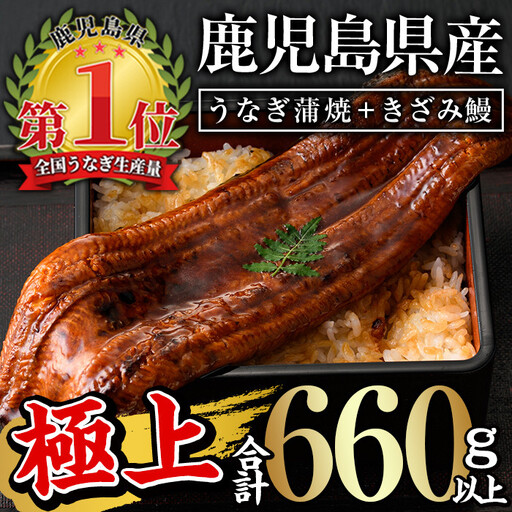 うなぎ 無投薬 鹿児島県産 [極上] (160g〜236g×3尾・きざみ50g×2袋) うなぎ[西日本養鰻]B44-v02