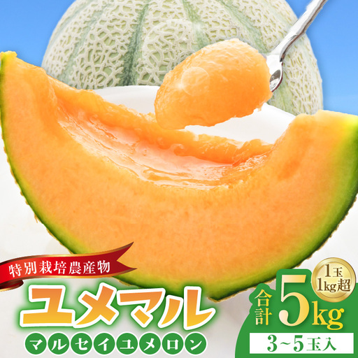 【先行予約】マルセイユメロン 3～5玉入「ユメマル」5kg《とろけるような食感！》／ 果物 フルーツ 赤肉 メロン 濃厚 果肉 産地直送 あわら 大賞 受賞  ※2027年6月中旬より順次発送 [aw012-a025]