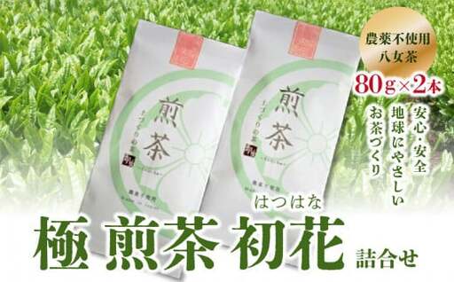 [農薬不使用八女茶]極 煎茶初花詰合せ[80g×2本] 041-001