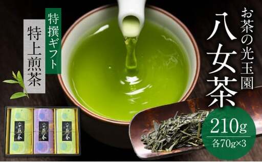 【お茶の光玉園】八女茶ギフト 70g×3本セット 049-003