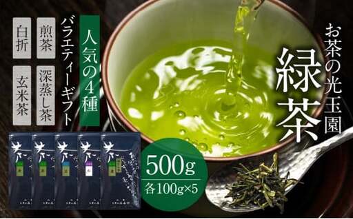 【お茶の光玉園】緑茶バラエティセット 人気の4種 各100g 計5本　049-008