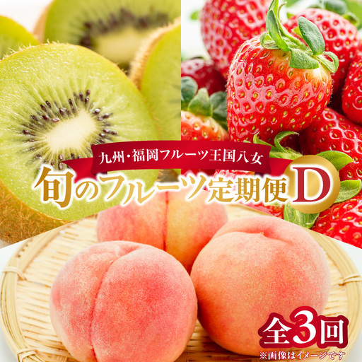 九州・福岡フルーツ王国八女 旬のフルーツ定期便【全3回】D ＜配送不可：北海道・沖縄・離島＞ フルーツ 定期便 あまおう もも キウイ 季節のフルーツ 果物 おすすめ セット 産地直送 福岡県 八女市 072-T004