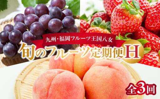 九州・福岡フルーツ王国八女 旬のフルーツ定期便【全3回】H ＜配送不可：北海道・沖縄・離島＞ フルーツ 定期便 あまおう もも ぶどう 季節のフルーツ 果物 おすすめ セット 産地直送 福岡県 八女市 072-T007