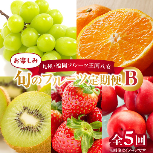 九州・福岡フルーツ王国八女 お楽しみ旬のフルーツ定期便【全5回】B＜配送不可：北海道・沖縄・離島＞ フルーツ 定期便  072-T010