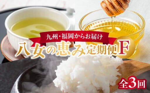 九州・福岡からお届け!八女の恵み定期便[全3回] F