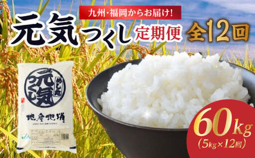 九州・福岡からお届け！ブランド米「元気つくし」定期便【全12回】 お米 米 コメ 白米 特A 直送 お弁当 おにぎり 炊きたて ツヤ 粘り もちもち 弾力 卵かけご飯 福岡県 八女市 072-T072