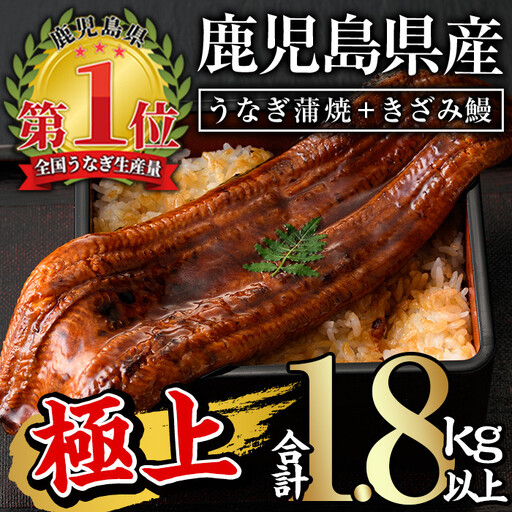 うなぎ 無投薬 蒲焼 きざみ 鹿児島県産 [極上] (160g〜236g×7尾・きざみ50g×10袋) うなぎ [西日本養鰻]D12-v02