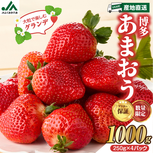 【先行受付：2027年2月発送開始】博多あまおうＧ250g×4パック｜JAふくおか八女 あまおう いちご 苺 イチゴ フルーツ 果物 くだもの 人気 旬 福岡県産 大粒 アフター補償 数量限定 期間限定 産地直送 グランデ 福岡県 八女市 002-003