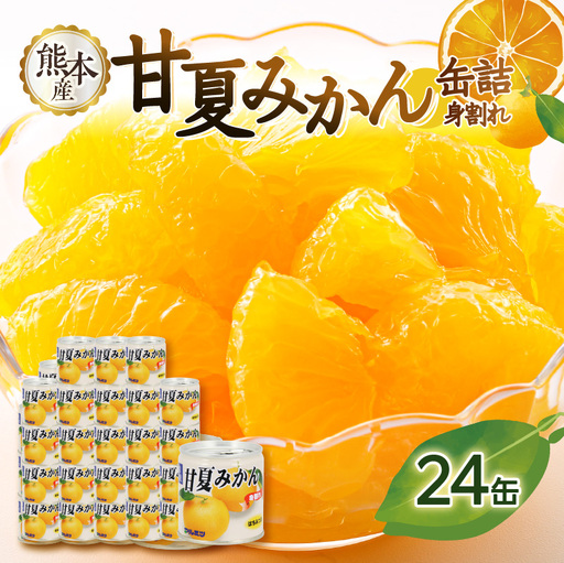 甘夏みかん 缶詰 24缶入り（身割れ） 007-012