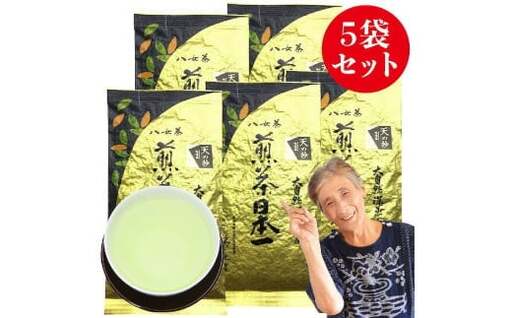 自社製造の深蒸しの八女茶！当園の最高級品！天の抄（てんのしょう）80g入り5袋入り 008-035