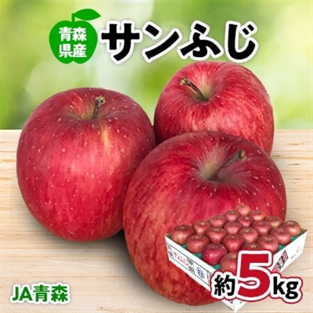 JA青森　青森県産りんご「サンふじ」約5kg_果物・フルーツ りんご  リンゴ 林檎_【配送不可地域：離島】【1127895】