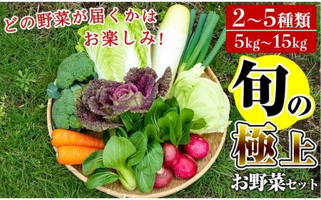 A-091 「極野菜」旬の極上お野菜セット【百姓道有元農場】霧島市 国産 詰め合わせ 食材 お楽しみ