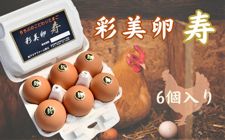 彩美卵 寿 No.267