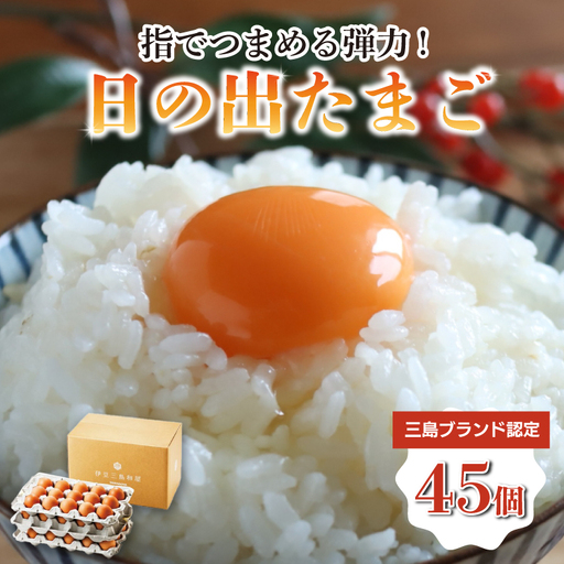 日の出たまご 45個 卵 三島ブランド たまご