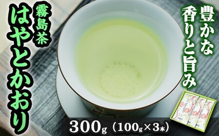霧島茶 はやとかおり 雅 詰合せ(100g×3本)[マル竹園製茶]霧島市 緑茶 茶葉 お茶 日本茶