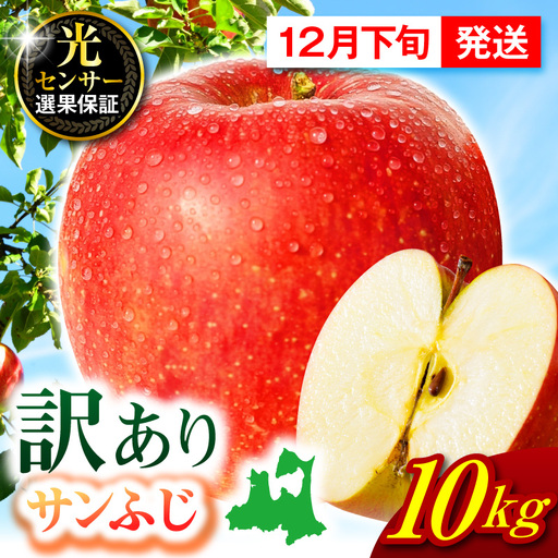 【2026年12月下旬発送】【訳あり】 りんご 約10kg サンふじ 青森 家庭用 りんご