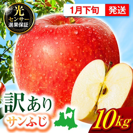 【2027年1月下旬発送】【訳あり】 りんご 約10kg サンふじ 青森 家庭用 りんご