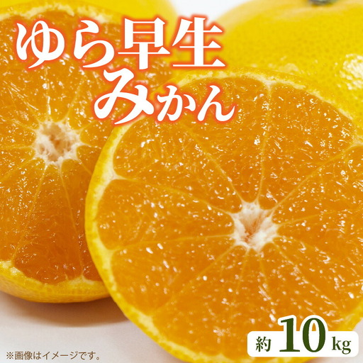ゆら早生みかん 約10kg