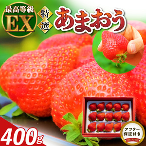 【2026年11月より順次発送】特選あまおう　400g_ いちご あまおう フルーツ 果物 〔Fi006〕