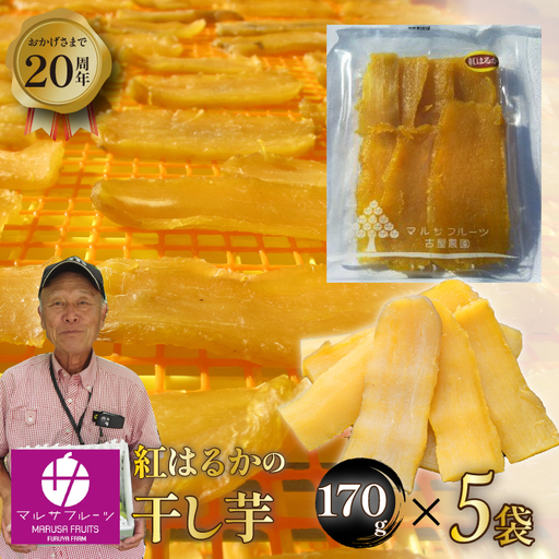 [先行予約★2026年11月から発送]紅はるかの干し芋170g×5袋入り 088-006