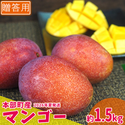 マンゴー[2026年夏発送]もとぶ町産マンゴー(贈答用)約1.5kg詰め フルーツ