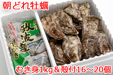 [2027年1月8日より発送！]オレの牡蠣 広島県大竹市産 生牡蠣 むき身1kg＆殻付 (16個から20個) 牡蠣 Bセット [1883]