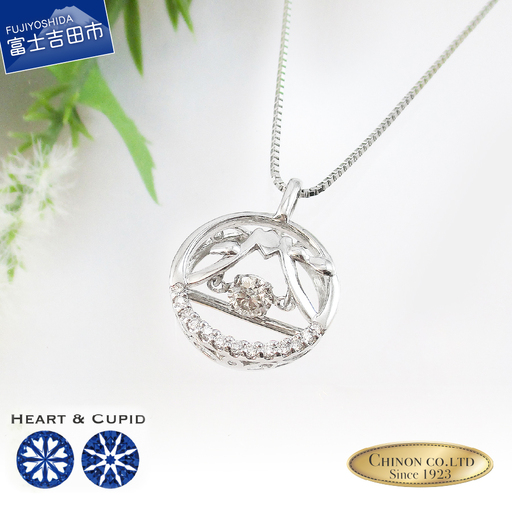 H&C ダイヤモンド トゥインクルストーン ペンダント プラチナ Fuji ネックレス ジュエリー ダイヤモンド アクセサリー 