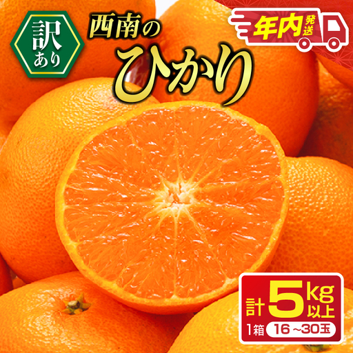 年内お届け 先行予約 訳あり みかん 西南のひかり 5kg 希少 2026 12月発送_BC168-26