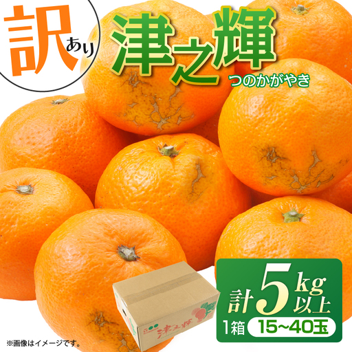 先行予約 訳あり みかん 津之輝 つのかがやき 5kg 希少 L ～ 4L サイズ不揃い フルーツ_BD144-26