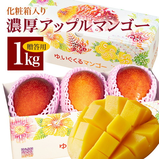 [ 先行予約 2027年 発送 ] 沖縄県 糸満産の「 濃厚 アップルマンゴー 」1kg オリジナル 贈答用 化粧箱入り 沖縄県産 マンゴー 完熟マンゴー 果物 くだもの フルーツ 完熟 夏 旬 沖縄 産地直送 農家直送 甘い 糸満市 (生産者 ゆいぐくる) 33-2