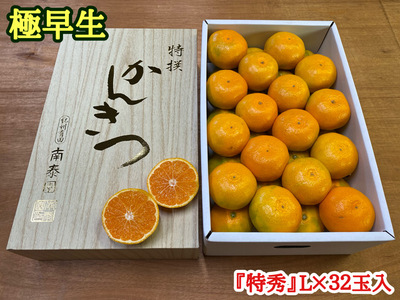 極早生 有田みかん 約4kg 『特秀』Lサイズ32玉入_ZF6000n