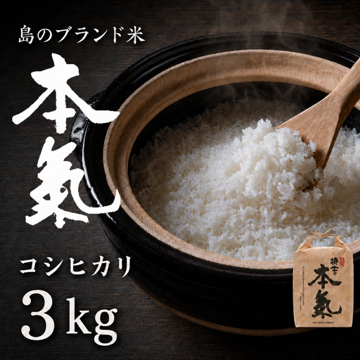 コシヒカリ 3kg 本氣米 コシヒカリ
