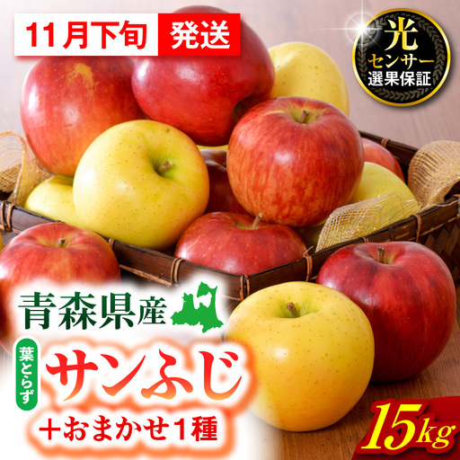 [2026年11月下旬発送][訳あり] りんご 15kg 詰め合わせ 計2種(サンふじ と 他1種) 家庭用りんご