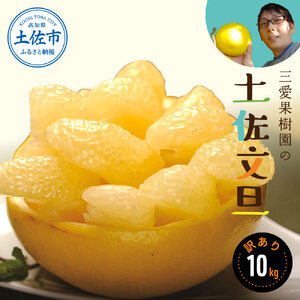 [先行予約][訳あり]三愛果樹園の土佐文旦10kg / 土佐文旦 みかん 柑橘 ぶんたん ブンタン 果物 フルーツ [2027年2月上旬から順次発送][三愛果樹園] [BQAO009]