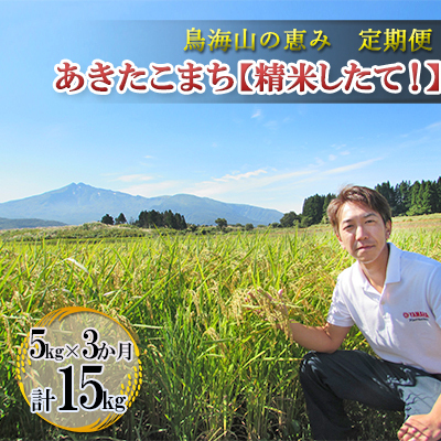 【先行予約】《定期便 3か月》 あきたこまち 5kg  精米 あきたこまち R8年産