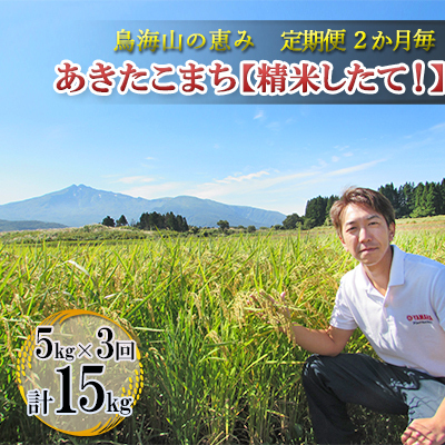 【先行予約】《定期便 3回 隔月配送》 あきたこまち 5kg  精米 あきたこまち R8年産