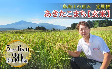 【新米先行予約 11月以降順次発送予定】《定期便 6か月》5kg×6ヶ月 鳥海山の恵み 農家直送！ あきたこまち（玄米） 【令和8年度産 玄米 秋田 にかほ】